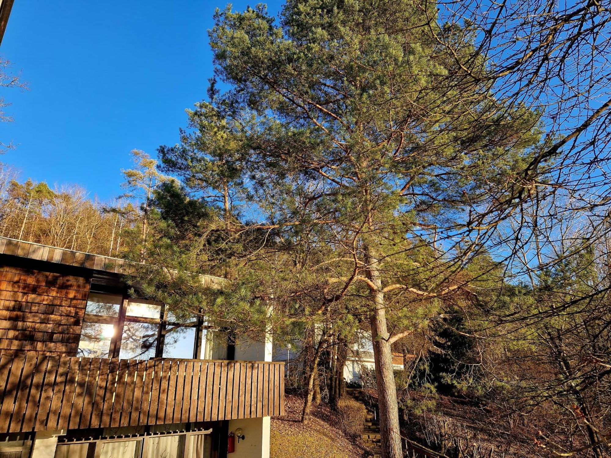 Berg-Bungalows Leinleitertal Heiligenstadt in Oberfranken Exterior foto